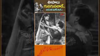 Oohalu Gusagusalade Song  ఊహలు గుసగుసలాడే NTR Bandipotu Movie Melody shorts youtubeshorts [upl. by Serene]