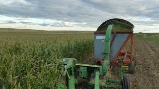 Chopping Silage 2016 [upl. by Gschu]