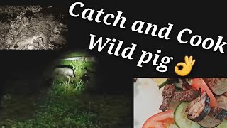 Wild Pig Catch AND Cook [upl. by Pownall520]