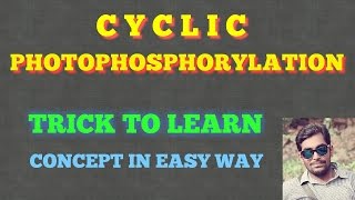 CYCLIC PHOTOPHOSPHORYLATION  EASY WAY NEET EXAM [upl. by Eimiaj]