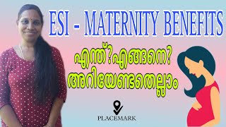 Maternity Benefits ESI അംഗങ്ങൾ അറിയേണ്ടതെല്ലാം  ESI MATERNITY BENEFITS  2024 [upl. by Hafital]