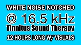 White Noise  Notch Filtered at 165 kHz for Tinnitus Therapy w Visuals [upl. by Ajnin]