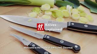 ZWILLING Knife Explained [upl. by Armyn]