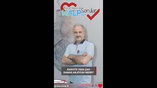 RENAL YANİ BÖBREK ANJİOSU NEDİR [upl. by Standush]