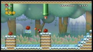 New Super Mario Bros Wii  No powerup 97 Speedrun [upl. by Win356]