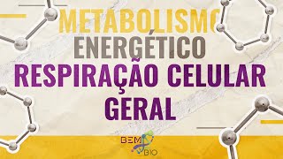 Metabolismo Energético  Respiração Celular  Geral [upl. by Enohs]