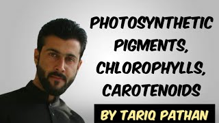 Class 11 Chapter 4  Photosynthetic pigments  Chlorophylls  Carotenoids by Tariq Pathan [upl. by Mcmahon786]