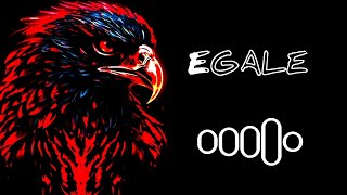 Eagle Best ringtone Of 2024New Ringtone 2024 Eagle song ringtone video 4k ringtone trending [upl. by Noicpesnoc]