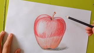 Sketching an apple with pencils juicy and bright  part four [upl. by Erdman]