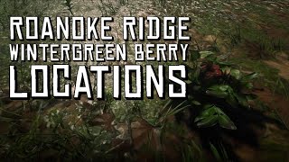 Red Dead Online  Roanoke Ridge Wintergreen Berry Locations [upl. by Ajim]