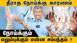 CHIROPRACTIC Secrets  Symptoms  Diagnosis and Treatment  Flesh and Bone  healer baskar [upl. by Akirdnuhs125]