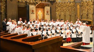 Tota pulchra es  Escolania de Montserrat amp Oslo Cathedral Boys Choir [upl. by Avigdor]