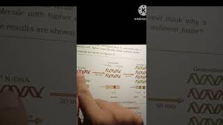 Meselson and Stahls experiment proof of DNA replication is semi conservative process shorts [upl. by Mail424]