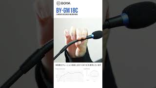 BYGM18C BYGM18CB  BOYA グースネックマイク サウンドハウス マイク BOYA [upl. by Annairdna943]