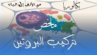 ملخص وحدة تركيب البروتين  من الألف للياء  بكالوريا  علوم تجريبية  رياضيات [upl. by Lesh329]