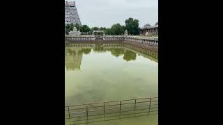 Chidhambaram kovil kulam 😍😍youtube shortvideos trending food viralvideos travel short [upl. by Anima136]