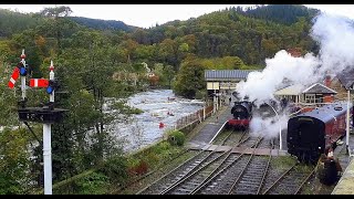 Steam in the AUTUMN colours Llangollen Railway 30th October 2022 [upl. by Ingold999]