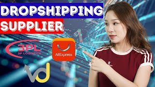 The Best Dropshipping Suppliers 2024 Update [upl. by Aylmer]