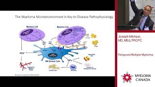 Treatment amp Management of RelapsedRefractory Myeloma [upl. by Lurette]