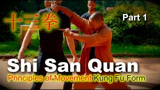 十三拳 · Principles of Movement 🌀 in Shaolin Kung Fu Forms 👆Shi San Quan👇 [upl. by Javler946]