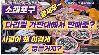 소래포구 다리밑에서 장사 사람이 왜 이렇게 많지 가판대 생선 [upl. by Batruk]