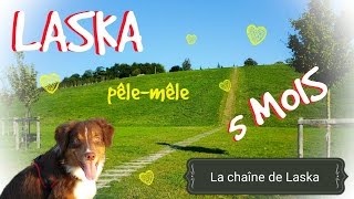 Laska a 5 mois  retour sur ce dernier mois avec nous  pêlemêle 32 [upl. by Prouty]