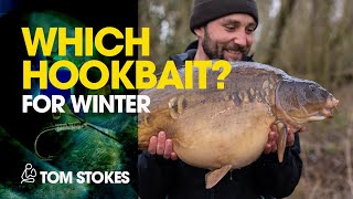 Which Hookbait For Winter  Tom Stokes [upl. by Coyle]