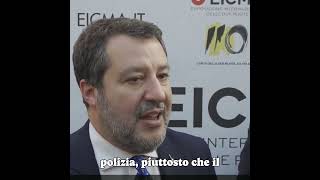 SALVINI Sì AI TESER MA UN PAESE NORMALE ESPELLE GLI IRREGOLARI [upl. by Leizahaj369]