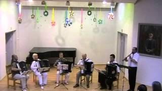 Adagio  R Wagner Birbinya solo version quotExcelsiorquot Baltic International Accordion Quintet [upl. by Nahtan]