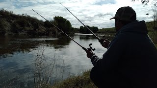 pesca en el RIO ARRECIFES en el famoso PUENTE JANS [upl. by Anneirb]