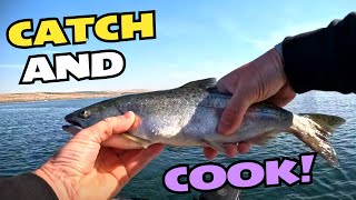 Catch and Cook Salmon My First Time [upl. by Latsyek]