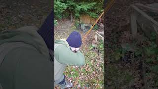 3d Pheasant Archery Target in a Hole  English Longbow [upl. by Bernita]