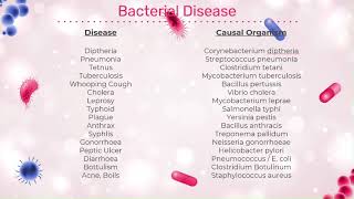 Bacterial Disease and their Causal Organism [upl. by Anoyk135]