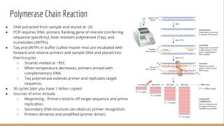 Molecular Biology Techniques [upl. by Yreffeg]