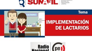 ¿Cómo se deben implementar los lactarios en los centros laborales  Sunafil [upl. by Letnahc]