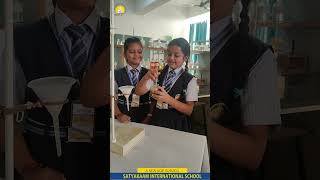 Filtration  Lab Experiment  Satyakaam International School [upl. by Pearle]