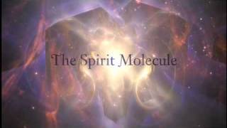 DMT The Spirit Molecule Teaser [upl. by Tildi]