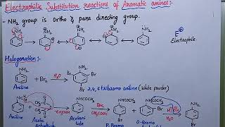 Electrophilic substitution reactions of aniline Halogenation [upl. by Lidstone]