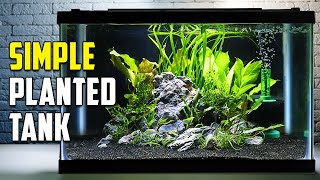 How To Build A Beautiful Planted Tank For Fish Easy [upl. by Aleuname304]