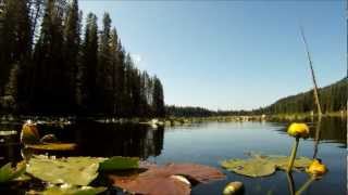 Trillium Veda and Kinzel Lakes [upl. by Irita495]