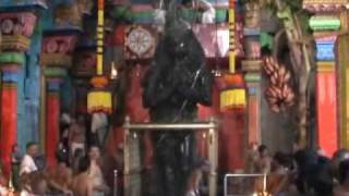 Anjaneyar Jayanthi in Suseendram Temple [upl. by Charmane]