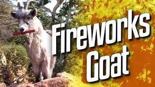 Fireworks Goat Goat Sim 4 [upl. by Euqor]