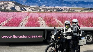 Ruta Mototurística quotFloración de Ciezaquot [upl. by Holbrook]