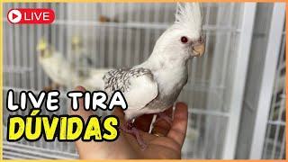 LIVE TIRA DÚVIDAS  1610 [upl. by Alesandrini523]