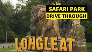 Longleat safari park drive through 2023 [upl. by Randi]