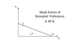 A14 Revealed preference  Consumption  Microeconomics [upl. by Alodie]