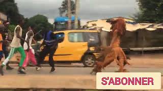 kankouran Li nekhna wayy ay woulée🔥🔥casamance ziguinchor sénégal [upl. by Sheryle]