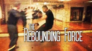 Experience the Rebounding Force of Huang Taiji  part of the IWKA 3 pillars Yang Taiji curriculum [upl. by Micco610]