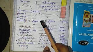 Plasma Proteins Albumin Globulin amp Fibrinogen physiology plasma protein [upl. by Yruam]