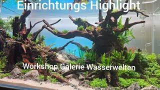 Highlight vom Workshop [upl. by Acisej]